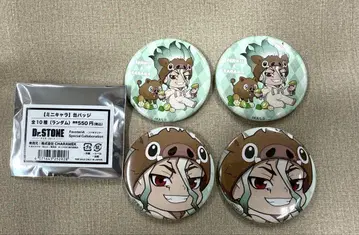Dr.STONE FavoteriA 미니 캐릭터 캔뱃지