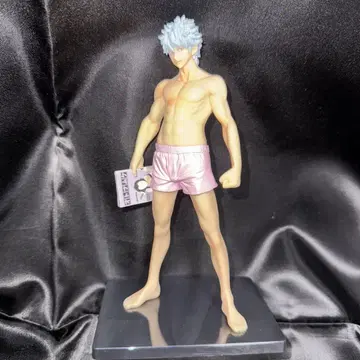 은혼 DXF 피규어 ~이것이 우리들의 주인 사카타 긴토키다아아아!!