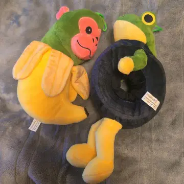 보네카 안바라브 (30cm)와 친판지 니바나니 (22cm)