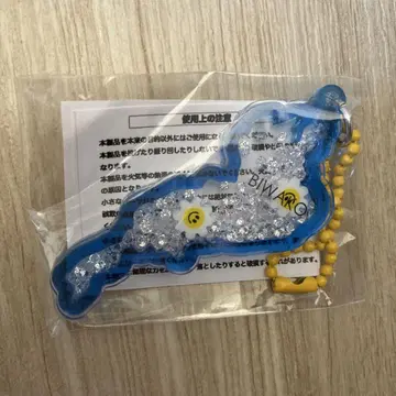 비와코 아크릴 키링