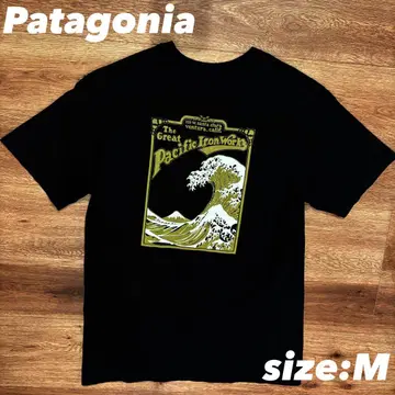 [ 단종 ] Patagonia 블랙 M 빈티지 T셔츠 호쿠사이