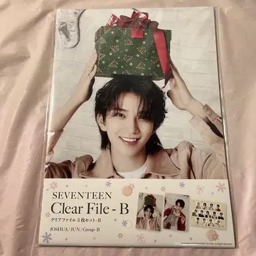 SEVENTEEN 클리어 파일 all 조슈아 준 3장 세트
