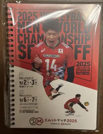 2025 남자 배구 세계 선수권 대회 노트