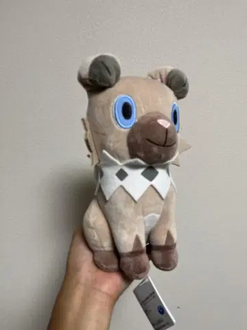 포켓몬 이완코 봉제 인형
