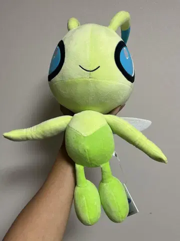 세레비 봉제 인형