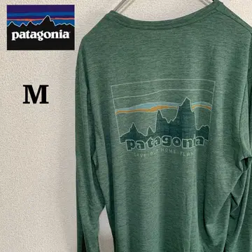 Patagonia Capilene Cool Daily 긴팔 스카이라인