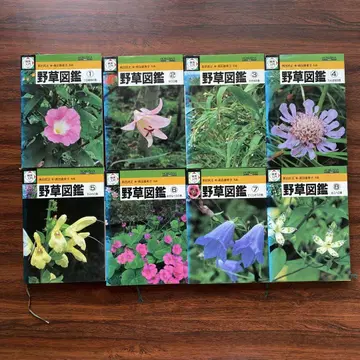 검색 입문 야생초 도감 1~8권 8권 묶음 판매 호이쿠샤 모두 초판