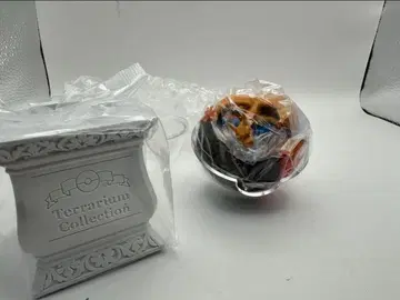 포켓몬 테라리움 컬렉션 15 리자몽 1