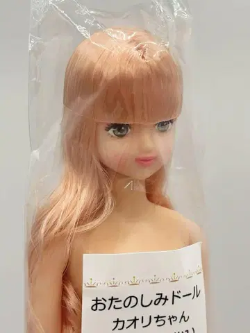 카오리짱 리카짱 캐슬 오타노시미 인형 핑크 계열 제니 프렌드