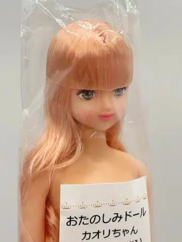 카오리짱 리카짱 캐슬 오타노시미 인형 핑크 계열 제니 프렌드