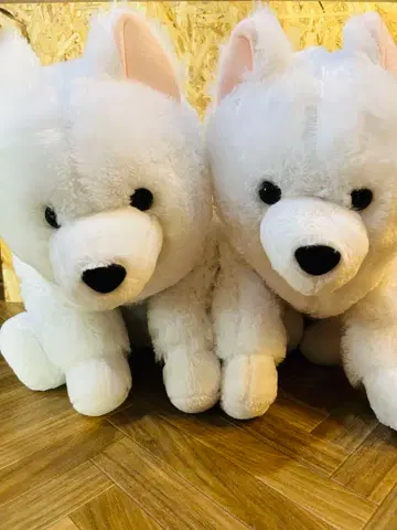 사모예드 봉제 인형 축 늘어진 기분 좋은