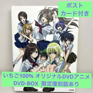 딸기 100% 오리지널 DVD 애니메이션 주간 소년 점프 DVD-BOX