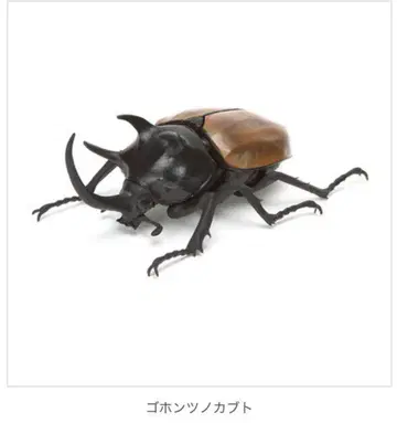 미니어처 피규어 생물대도감 가챠 딱정벌레 02 2, 오각뿔 딱정벌레