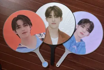 부채 세트 에스쿱스 세븐틴