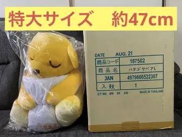 여관 봉제 인형 여관 베어