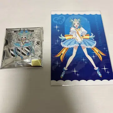 프린세스 세션 오케스트라 프리오케 프린세스 립플