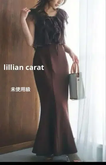 lillian carat 튤 볼레로 & 원피스 사이즈 1
