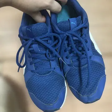 Puma 파랑 러닝화