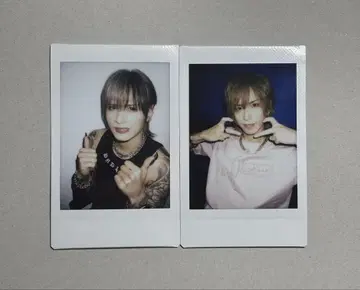 Royz 폴라로이드 2