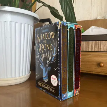 Shadow and Bone Trilogy by Leigh Bardugo