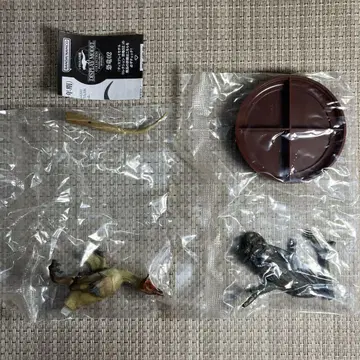 생물대도감 공룡02 벨로키랍토르