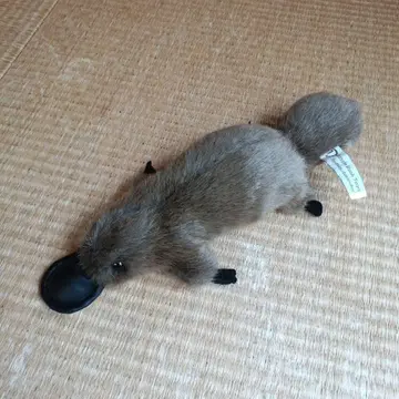 오리너구리 봉제 인형 약 30cm