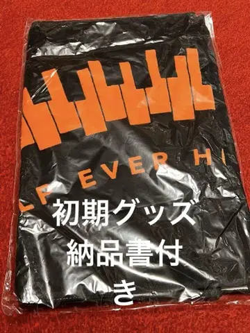 후지이 카제 HEHN 타월 미개봉 새상품