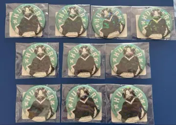 HUNTER x HUNTER 올스타 캔뱃지 페이탄 10개