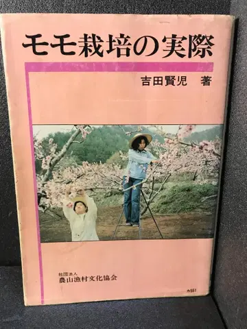 복숭아 재배의 실제 요시다 켄지