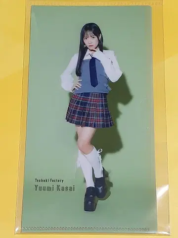츠바키 팩토리 카사이 유신 슬림 클리어 파일