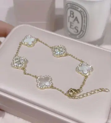 shellmii accessory