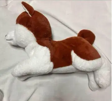 아키타견 오코메짱 big 봉제 인형
