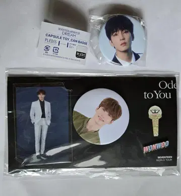 seventeen ode to you dream 배지 원우 캔뱃지