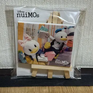 누이모즈 미니 캔버스 누이 촬영