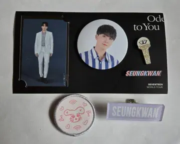 SEVENTEEN 세부치 배지 세트 승관