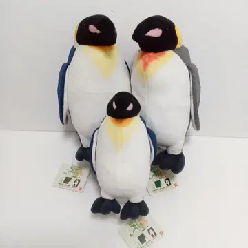 반다이 시로쿠마 카페 펭귄 봉제 인형 3개 세트