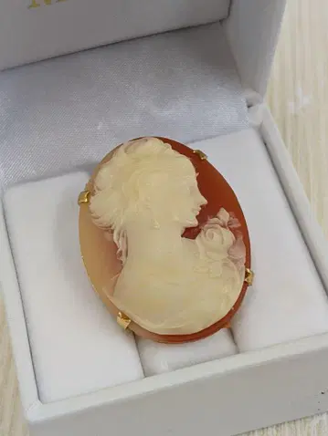 빈티지 카메오 쉘 브로치 귀부인 테라코타 앤티크