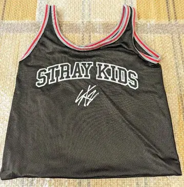 StrayKids 시즈오카 에코파 스타디움 업그레이드 혜택 메쉬 백