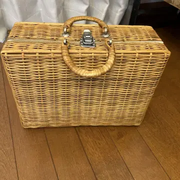 피크닉 바스켓 중 안감 당근
