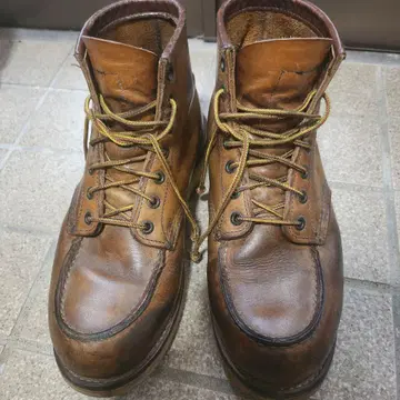 REDWING 아이리쉬 세터 8D