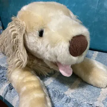 토이저러스 toysrus 골든 리트리버 봉제 인형 개 BIG