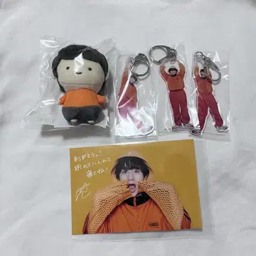 초특급 하루 봉제 인형 생일