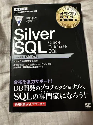 Silver SQL Oracle Database 텍스트