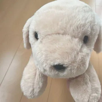 골든 레트리버 모미지의 아기 봉제 인형