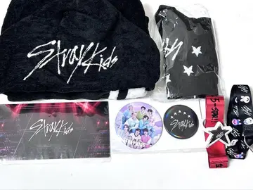 Stray Kids 스키즈 5-STAR 돔 투어 업그레이드