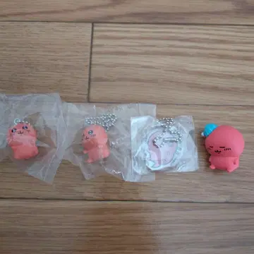 나가노의 곰 츄파카브라 묶음 판매