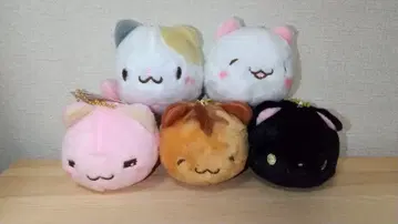 후와코로마루냥 5종