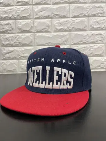 BBP x Brian Procell 콜라보 캡 DWELLERS