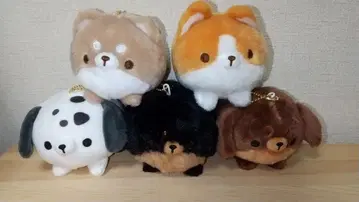 만마루쨩 다완 5종