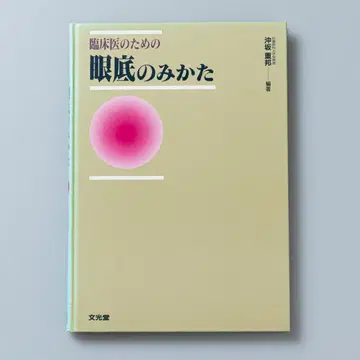 임상의를 위한 안저 관찰법